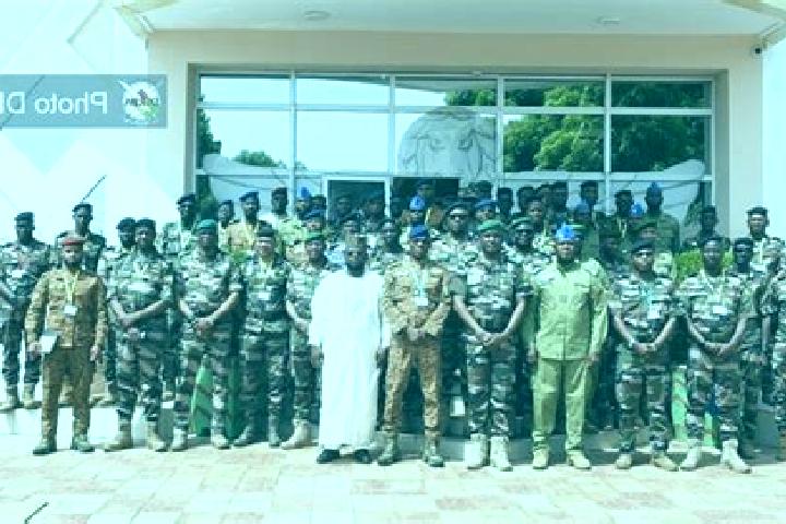 Escorts Niaga, Burkina Faso — Local Companions