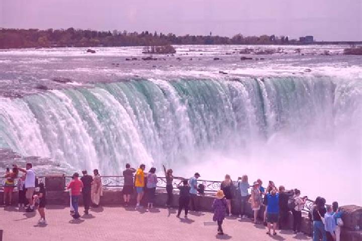 Escorts Niagara Falls, Canada — Local Companions