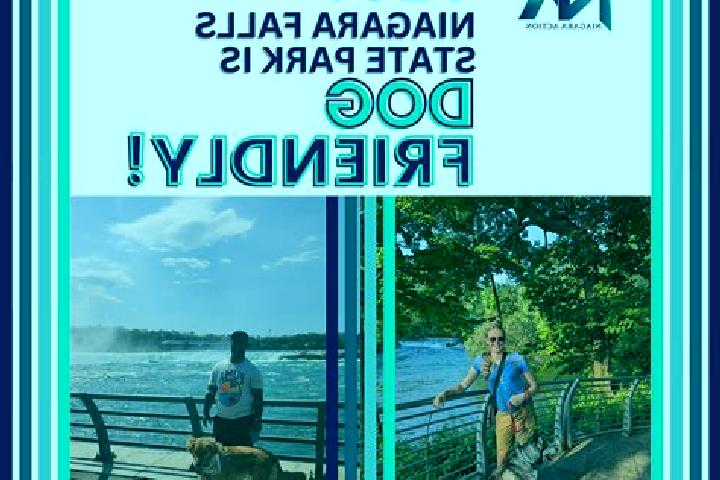 Escorts Niagara Park, Australia — Local Companions