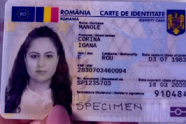 Escorts Niculesti, Romania — Local Companions