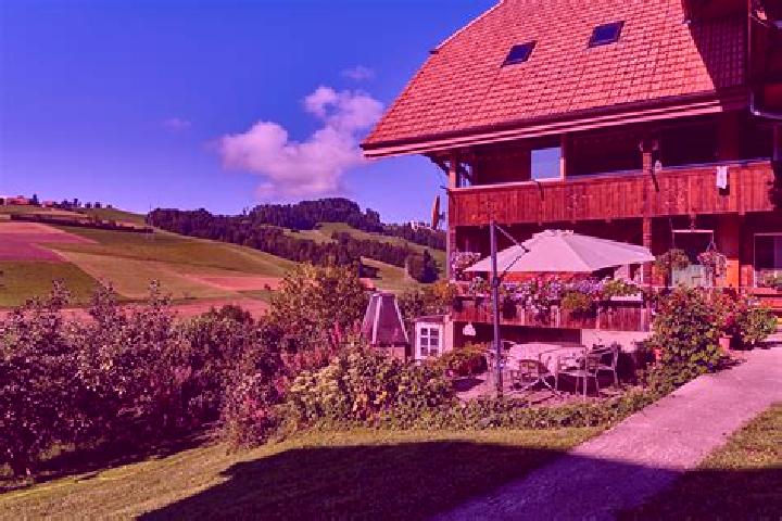 Escorts Niedermuhlern, Switzerland — Local Companions