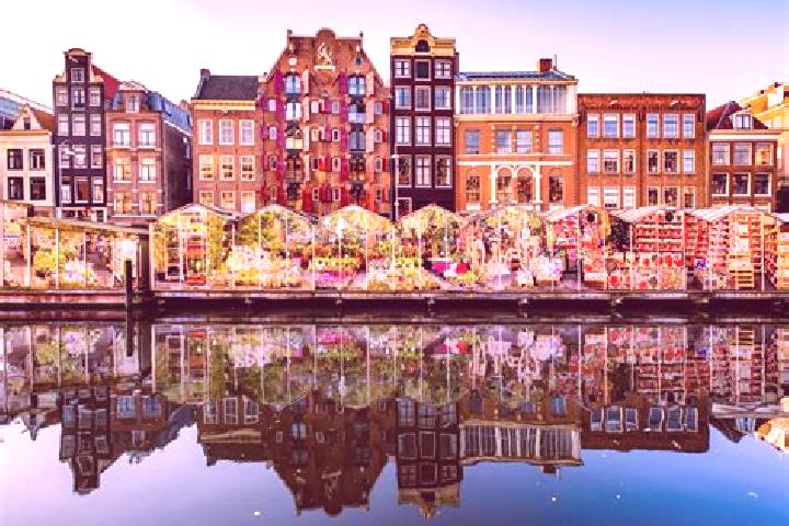 Escorts Nieuw-Amsterdam, Netherlands — Local Companions