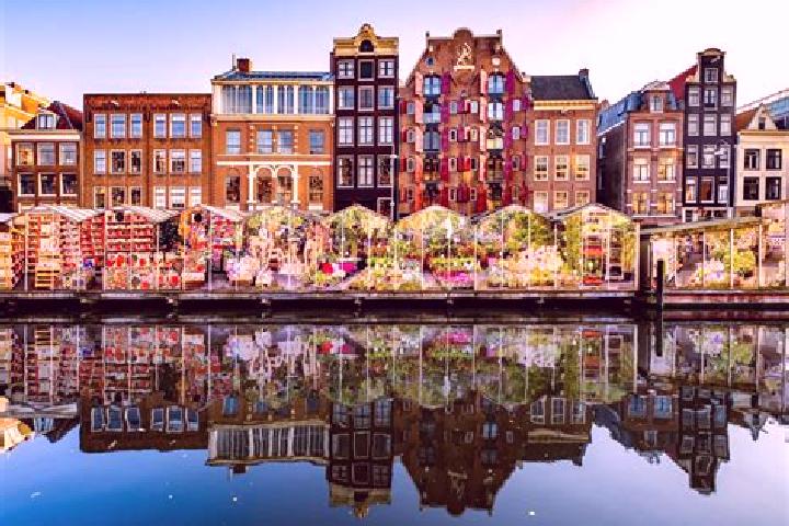 Escorts Nieuw-Bergen, Netherlands — Local Companions