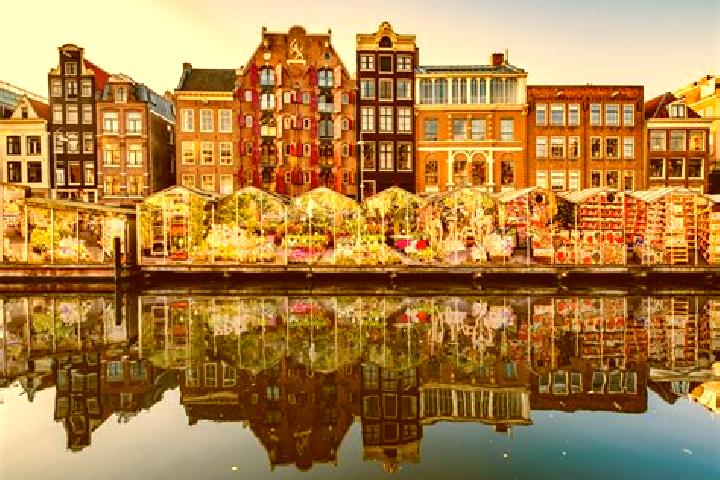 Escorts Nieuwdorp, Netherlands — Local Companions
