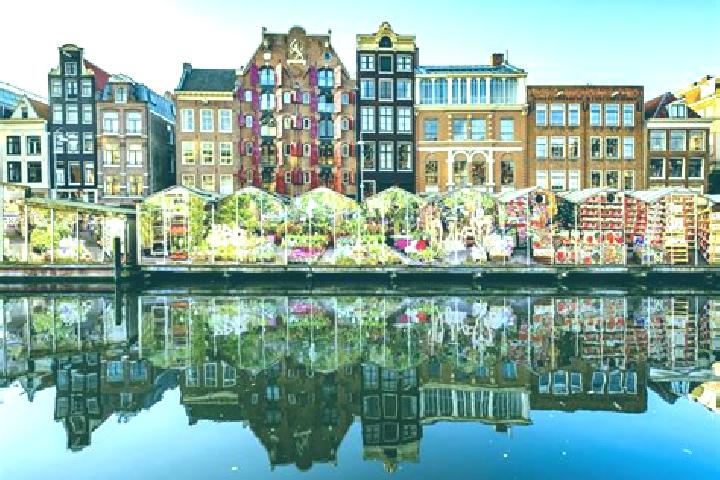 Escorts Nieuwoord, Netherlands — Local Companions