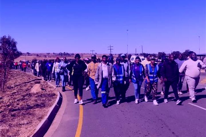 Escorts Nigel, South Africa — Local Companions
