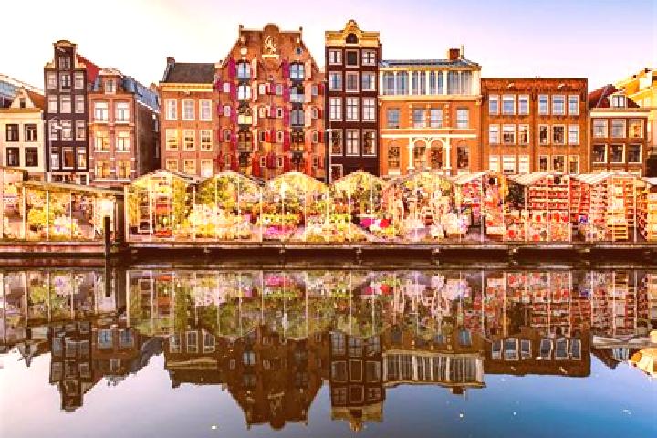 Escorts Nijkerk, Netherlands — Local Companions