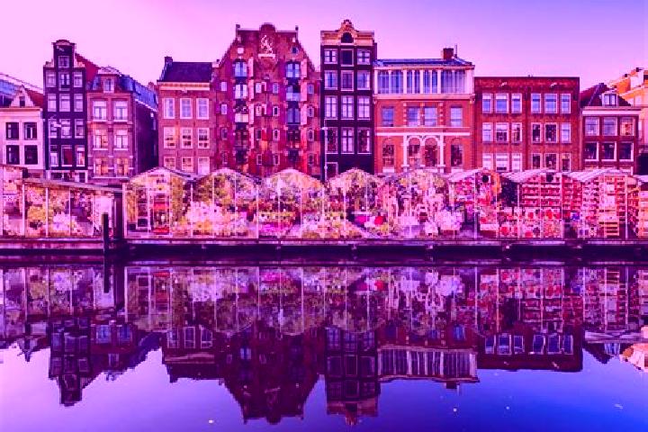 Escorts Nijrees, Netherlands — Local Companions