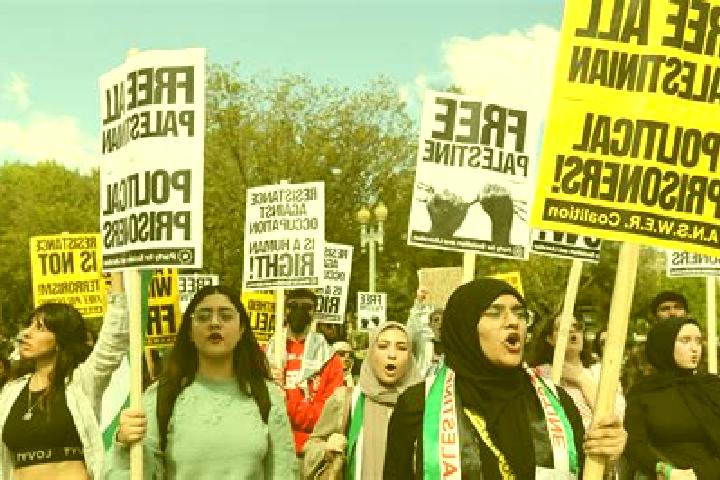 Escorts Ni lin, Palestine — Local Companions