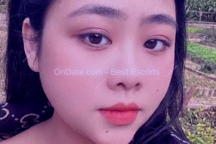 Escorts Ninh Giang, Vietnam — Local Companions