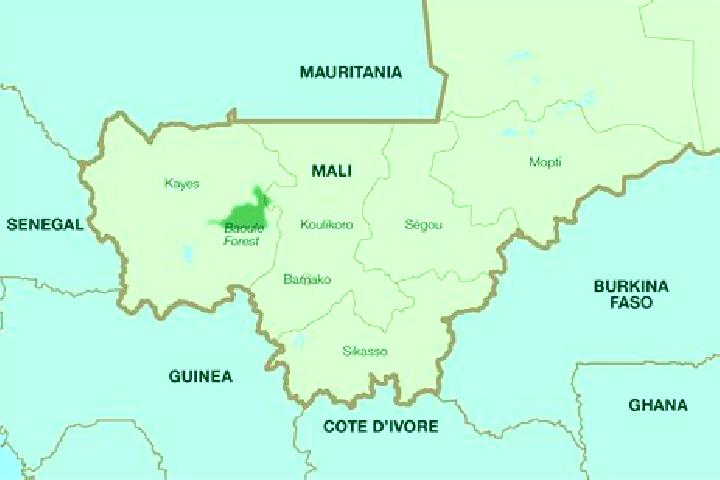 Escorts Niono, Mali — Local Companions
