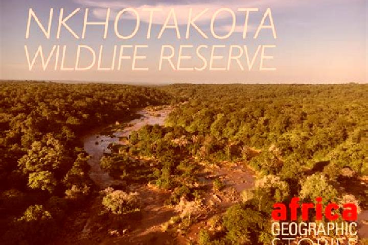 Escorts Nkhotakota, Malawi — Local Companions