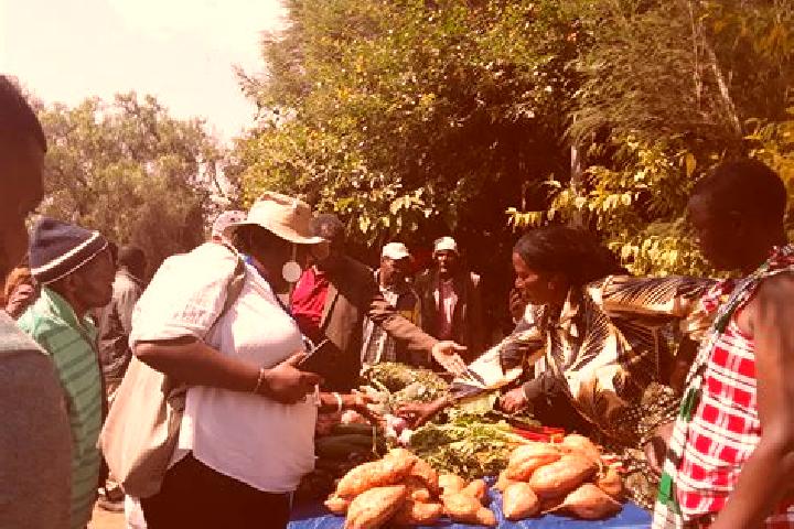 Escorts Nkoaranga, Tanzania — Local Companions