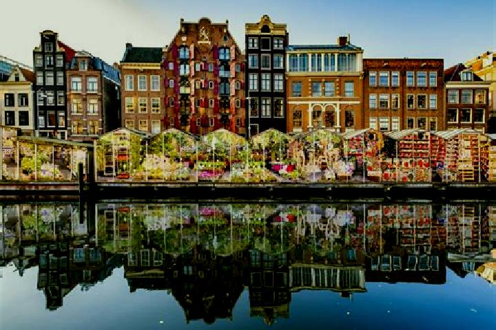 Escorts Noord-Hofland, Netherlands — Local Companions