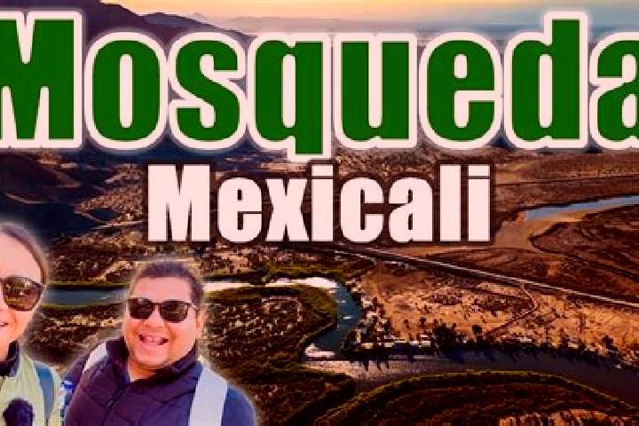 Escorts Noria de Mosqueda, Mexico — Local Companions