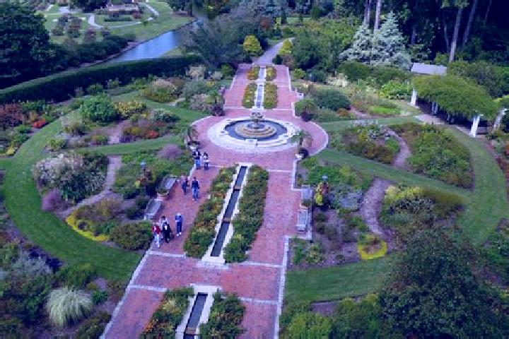 Escorts North Andrews Gardens, United States — Local Companions