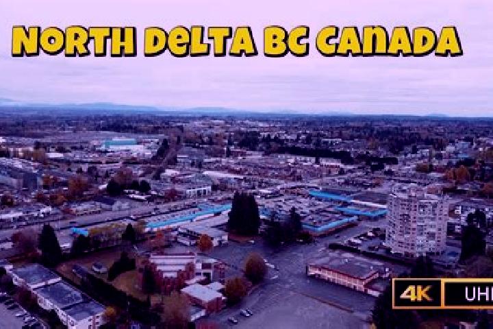 Escorts North Delta, Canada — Local Companions