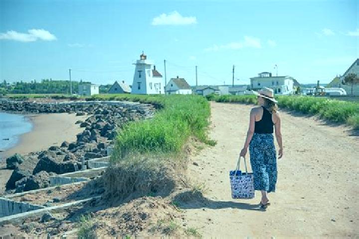 Escorts North Rustico, Canada — Local Companions