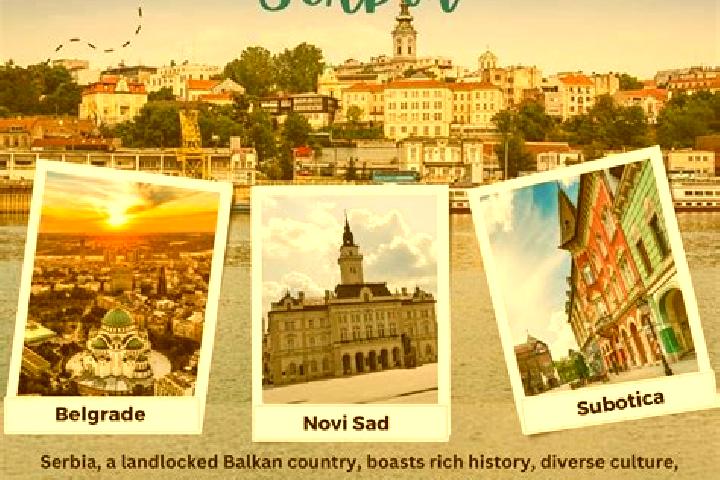 Escorts Novi Sad, Serbia — Local Companions