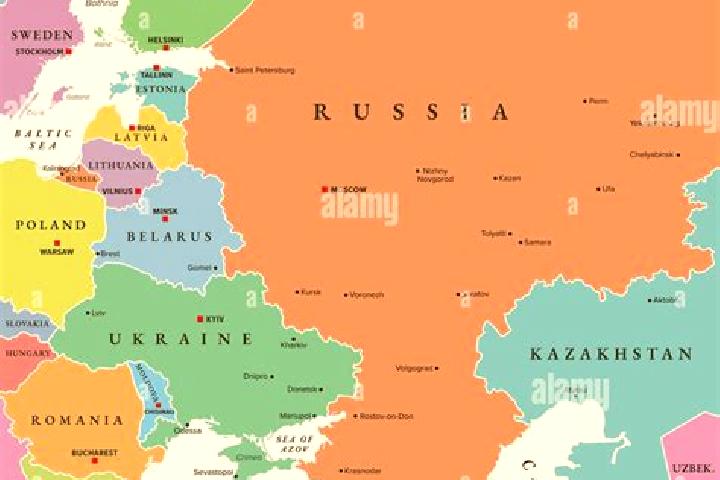 Escorts Novyye Vikri, Russia — Local Companions