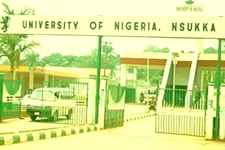 Escorts Nsukka, Nigeria — Local Companions