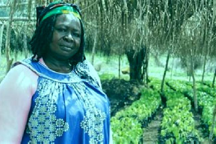 Escorts Ntui, Cameroon — Local Companions