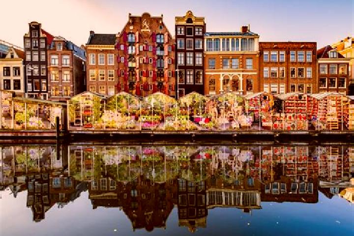 Escorts Nuland, Netherlands — Local Companions