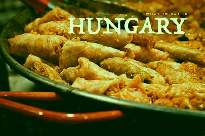Escorts Nyiregyhaza, Hungary — Local Companions
