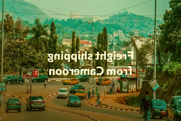 Escorts Obala, Cameroon — Local Companions