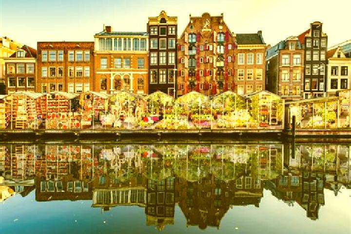 Escorts Obergum, Netherlands — Local Companions