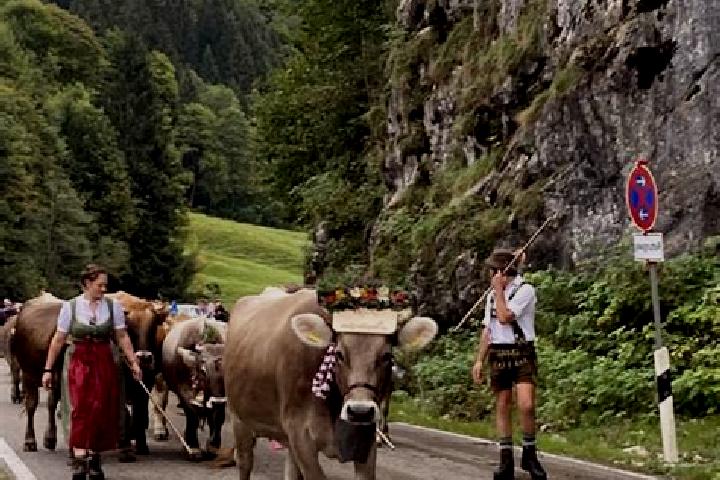 Escorts Obermaiselstein, Germany — Local Companions