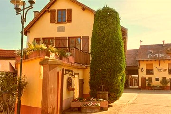 Escorts Oberschaeffolsheim, France — Local Companions