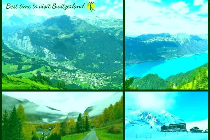 Escorts Obersiggenthal, Switzerland — Local Companions