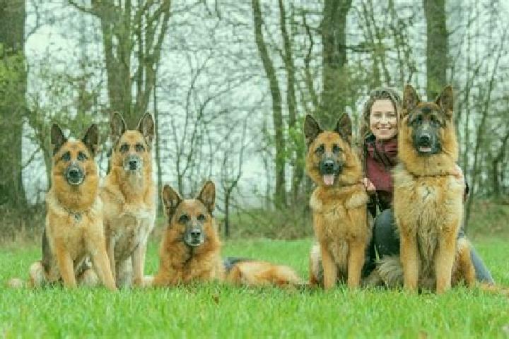 Escorts Obertshausen, Germany — Local Companions