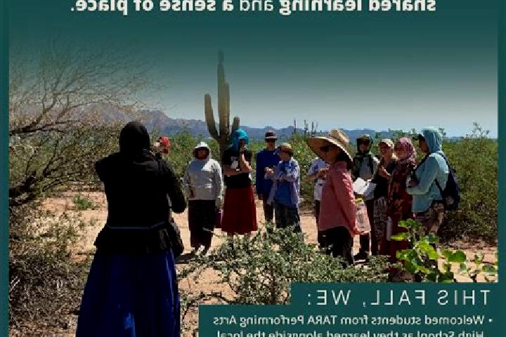 Escorts Ocotillo, Mexico — Local Companions