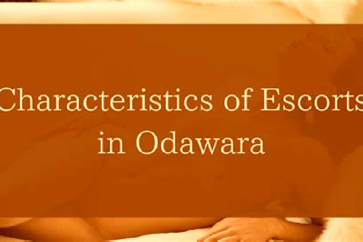 Escorts Odawara, Japan — Local Companions