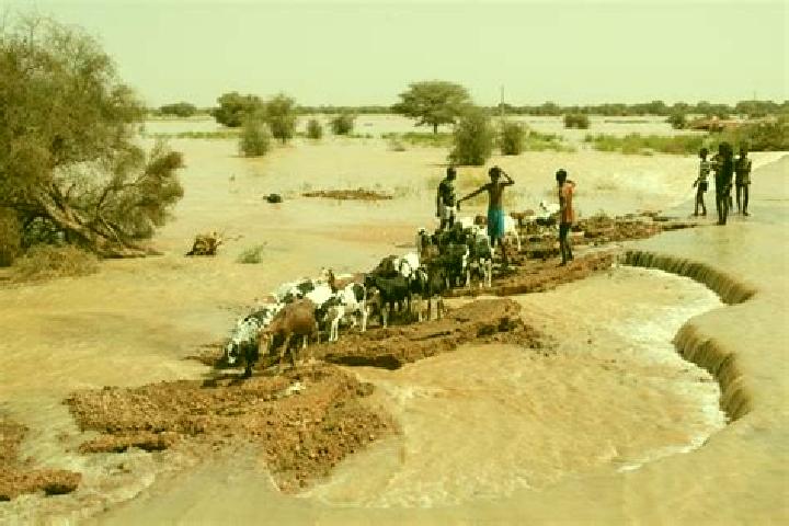 Escorts Odobere, Senegal — Local Companions