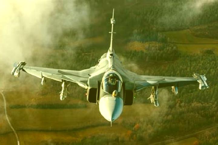 Escorts Ogre, Latvia — Local Companions