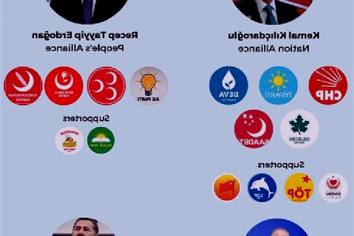 Escorts Ogulpasa, Turkey — Local Companions