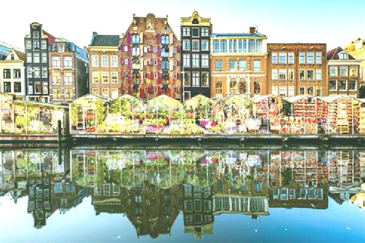 Escorts Oijen, Netherlands — Local Companions