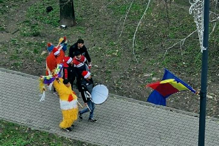 Escorts Ojdula, Romania — Local Companions