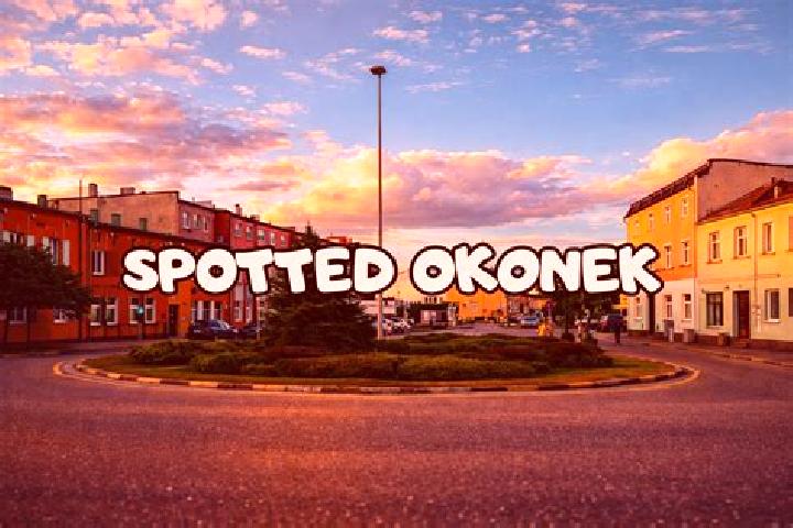 Escorts Okonek, Poland — Local Companions