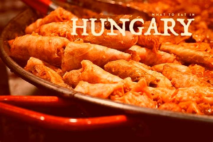 Escorts Okoritofulpos, Hungary — Local Companions