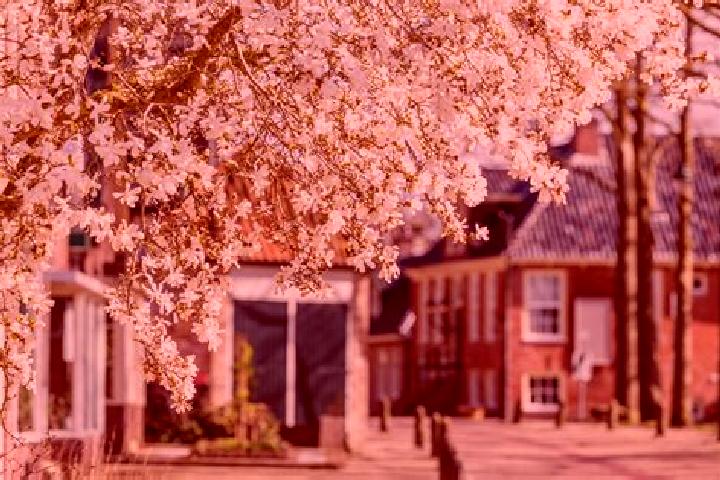 Escorts Oldeberkoop, Netherlands — Local Companions
