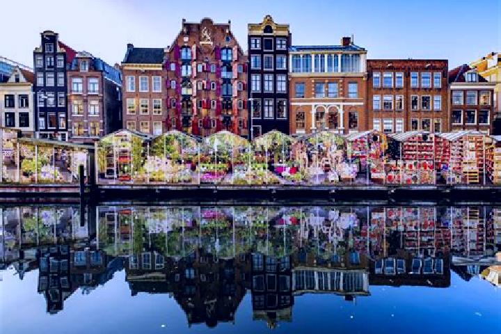 Escorts Olland, Netherlands — Local Companions