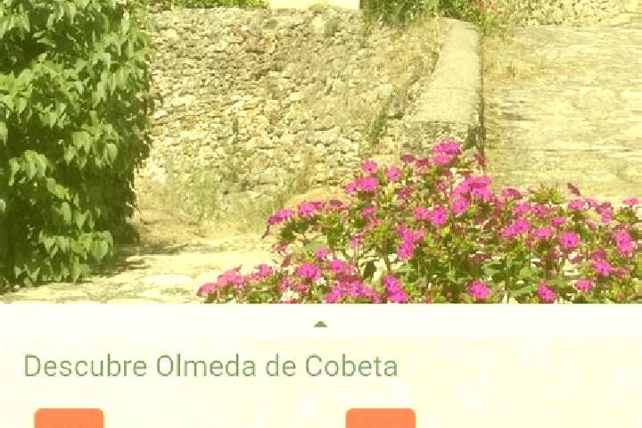 Escorts Olmeda de Cobeta, Spain — Local Companions