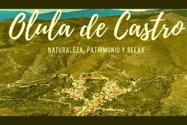 Escorts Olula de Castro, Spain — Local Companions