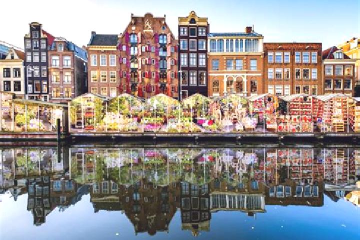 Escorts Ommen, Netherlands — Local Companions