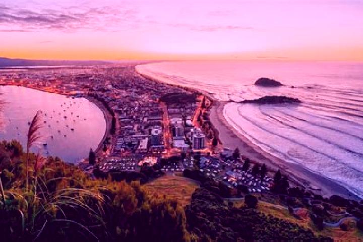 Escorts Omokoroa, New Zealand — Local Companions