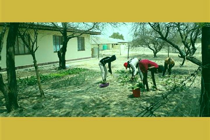 Escorts Oniipa, Namibia — Local Companions